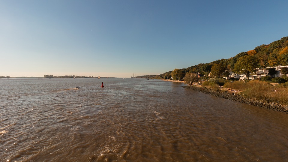 Practical methods to create living, low-impact wall accents that embrace seasonal decay into fertile renewal.