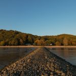 5. Top 5: Bits of Earth to Carry Through the Thaw—Miniature Gardens for Slumber, Stream, and Soil