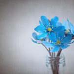 Sanctuary of the Still Dawn: Cultivating Calmness in a Roost of Whispered Leaves