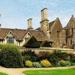 Moss Cartography: *Mudroom Stillness* – Navigating damp earth and footprints, where every trail becomes a meditation on rootedness.*