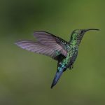 Twilight’s Embrace: Woven Niches for Stillness in a Time-Hungry World