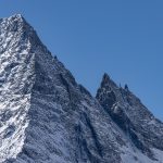 (Cozy hygge meets forest renewal/decay)