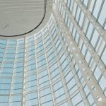 (symbol: climbing vines shaping stone walls; metaphor: life persisting in quiet cracks)