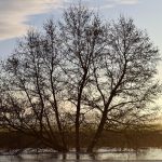 A meditative journey through fall’s delicate transition, blending hygge-inspired rituals to nurture inner calm as seasonal chaos softens.