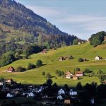 (Water metaphor for adaptability, paired with grounded serenity)