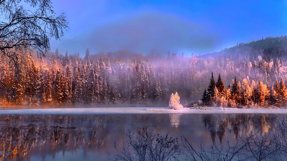 Ember Trails: A Garden’s Quiet Alchemy