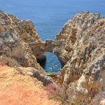 Glowing pathways built from strips of forest twilight, lightening paths of the restless soul.