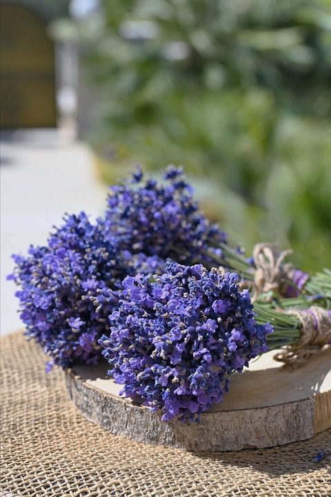 — Evokes coastal serenity and the fluid grace of nature-inspired design.