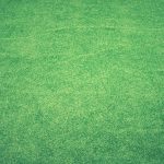 Peatic Guide to the Earth’s Whispered Lathe: Turning Fossil Sand into Compassion’s Hearthspace