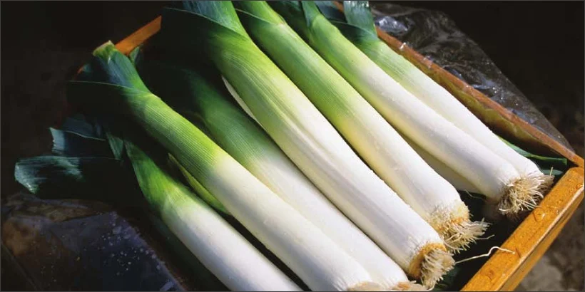 Leeks: The Ultimate Winter Crop