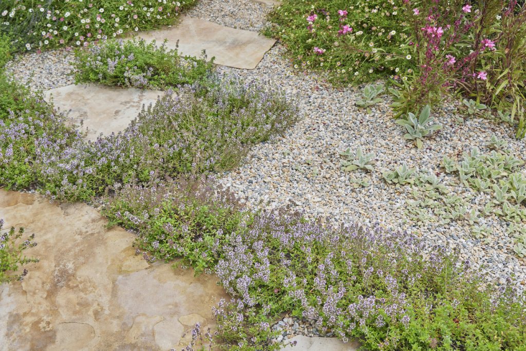 Trend Alert Beautiful Low Impact Pathways