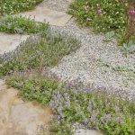 Trend Alert Beautiful Low Impact Pathways