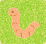 Picture of Echo Walker