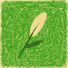 Picture of Light Veil