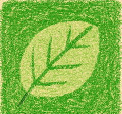 Picture of Cinder Drift