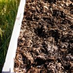 The Easiest Way to Make Leaf Mold to Improve Your Soil – Garden Betty