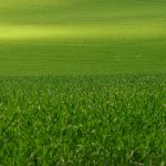 Thawing Ceremonies: Seasonal Ritual to Awaken the Soul’s First Spring