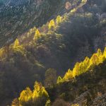 The Alchemy of Light: Symbolic Essay on Transforming Spaces with Earth-Touched Grace