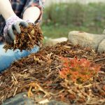 Why The Most Important Time To Mulch Flowerbeds Is In Late Fall