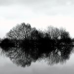 (A meditation on seasonal surrender and the warmth of forgotten moments, framed through seasonal transitions and cozy resilience.)