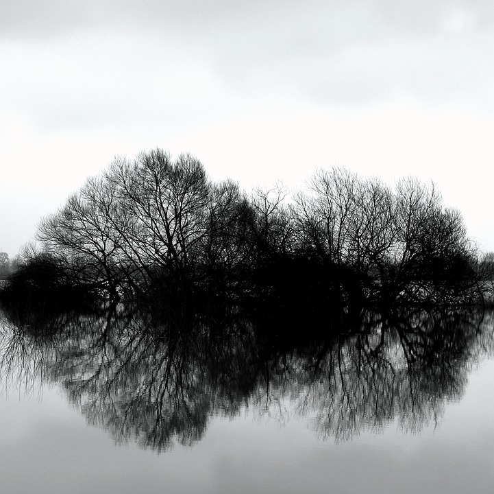 (A meditation on seasonal surrender and the warmth of forgotten moments, framed through seasonal transitions and cozy resilience.)