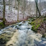 Curated keepsakes and hands-on crafts to anchor daily peace as winter’s grip thaws into green whispers.