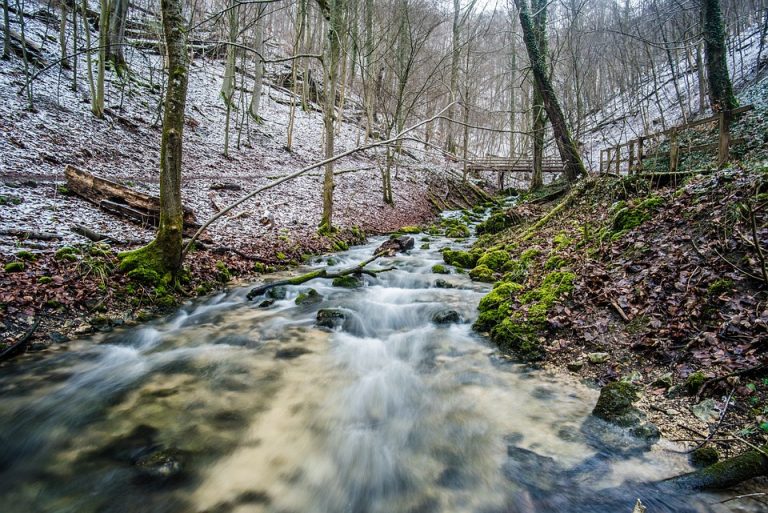 Curated keepsakes and hands-on crafts to anchor daily peace as winter’s grip thaws into green whispers.