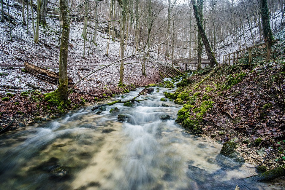 Curated keepsakes and hands-on crafts to anchor daily peace as winter’s grip thaws into green whispers.