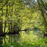 (Twilight as a bridge between day and night, mirroring the quiet rituals of electrolyte candles and stillness.)