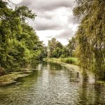 The Earth’s Ribbon: Woven Pathways Through the Year’s Lullaby