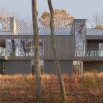 Desai Chia uses camouflaging effect for secluded house in New York