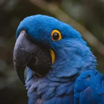 Roots of Resilience: A Symbolic Essay on Thriving in the Heart of Urban Wildlife