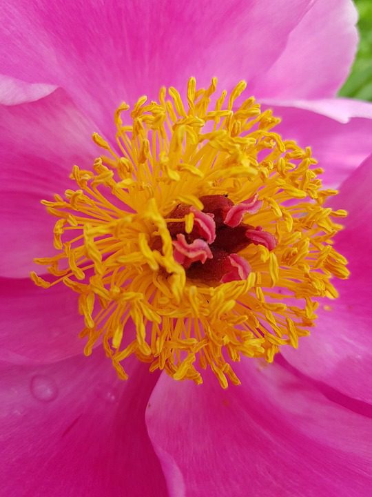 Roots of the Soft Resolve