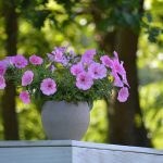 (Symbolizes seasonal transition and quiet refuge.)