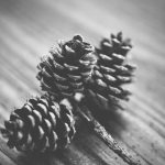 A lyrical foray into weaving airy, leaf-holed branchlets into windows, framing dawn’s first blush as it filters through emerald veils, tying architectural gaps to ancestral stories of trees speaking in low sighs.