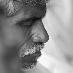 Poetic Guide: Whispers of Perennial Souls: Echoes of the Wild, Rooted in Soil (8 words)