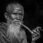 A Solace in Petals: Where Stillness Blooms