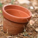 (Symbol: Acorns as seeds of resilience; ties growth to inner tranquility.)