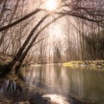Winter’s Exhale: Weaving Frost-Kissed Threads into the Home’s Pulse