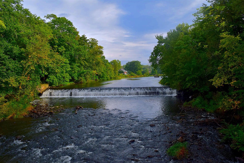 1. Poetic Guide to Autumn’s Veil: Tracing Where Light Surrenders to Letting Go