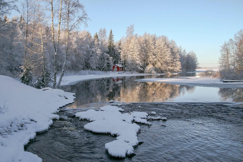 A symphony of stillness where garden and soul synchronize.