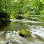 Wind’s Lullaby Through Cracked Earth
