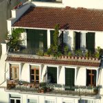 Moonlit Trowel’s Ballet: Blooms in the Blossom Hour