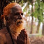 Symbolic Essay: Jord’s Beard & the Alchemy of Ash Beds