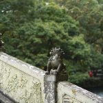 Spring’s Unraveled Veil