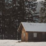 —Seasonal: Winter (frost, stillness)