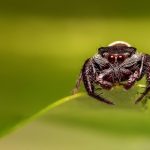 Arrange bare branches and salted butter on frosted windowsills—let light drink in slowness.