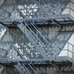 4. Eco How-To: How to Weave Your Roots into the Sky