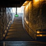 —Metaphor: Pines as timeless guardians of rustling tranquility.