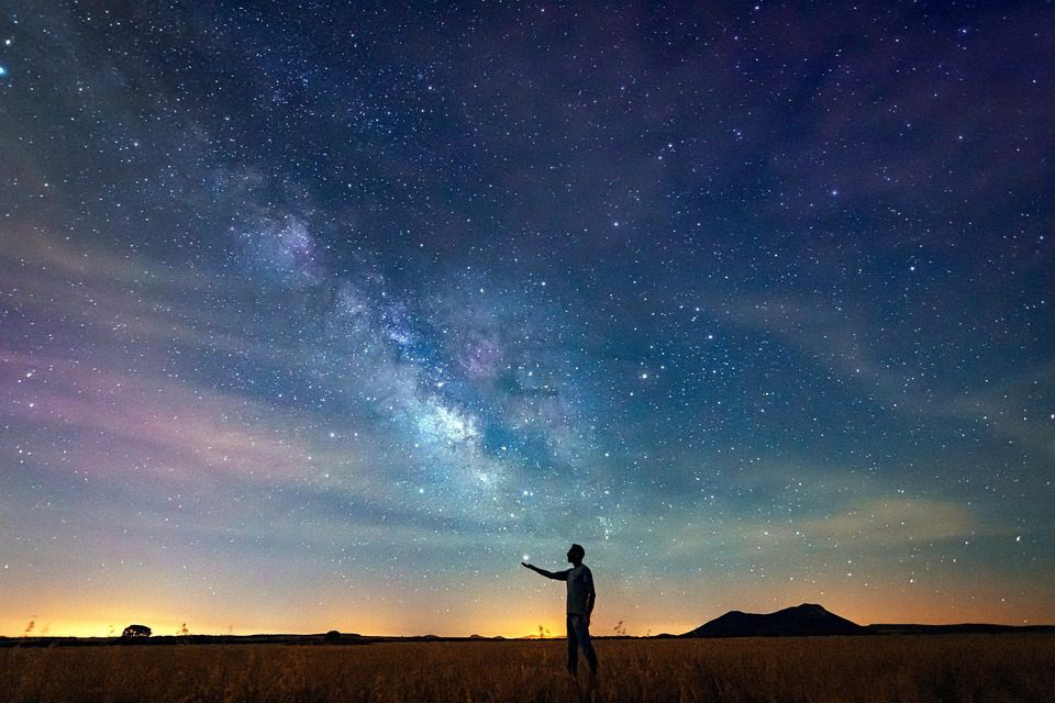 (Seasonal contrast between stillness and subtle life, echoing hygge’s intentional calm)